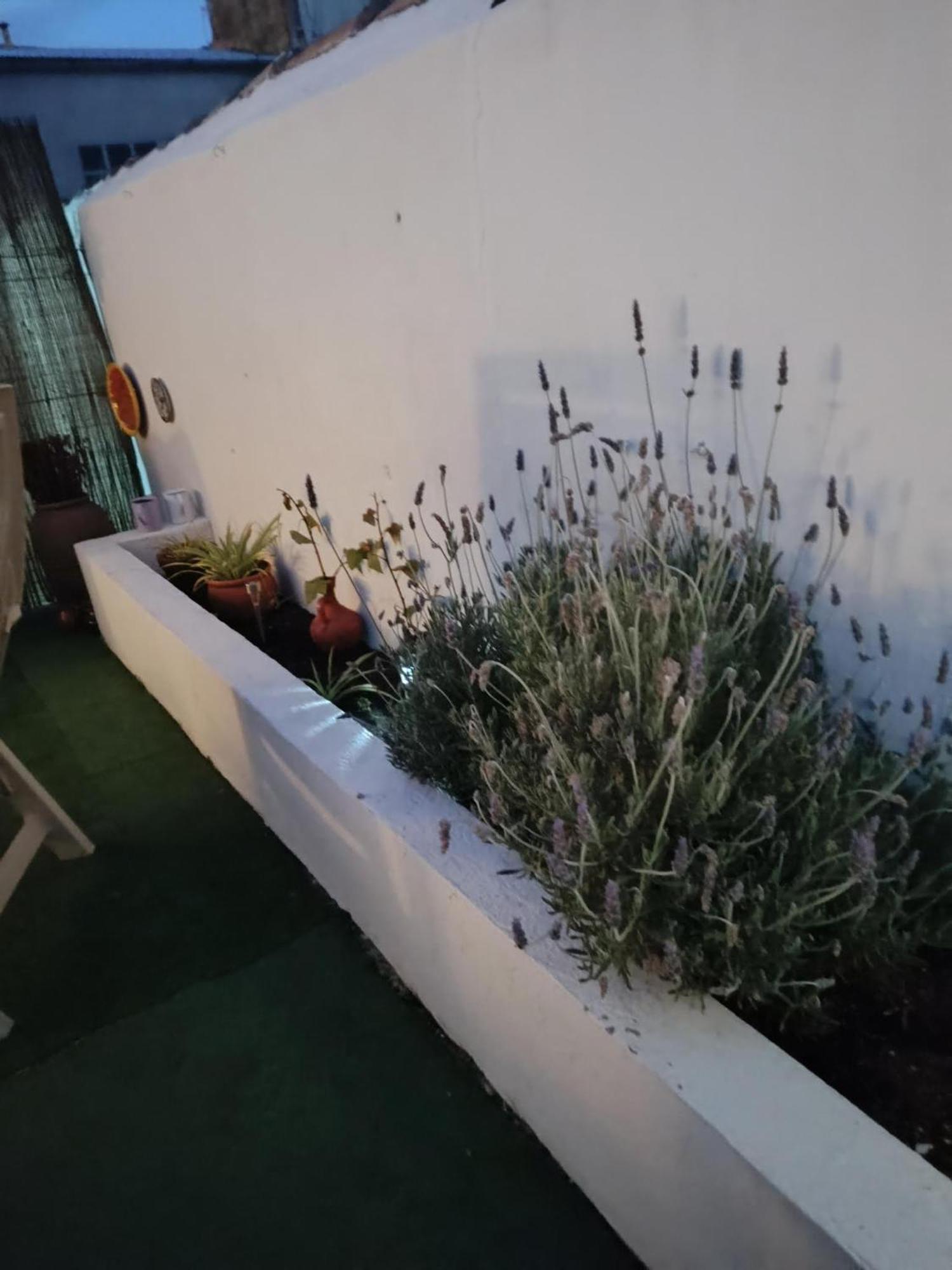 Caudete de las Fuentes Casa Rural Alegria מראה חיצוני תמונה