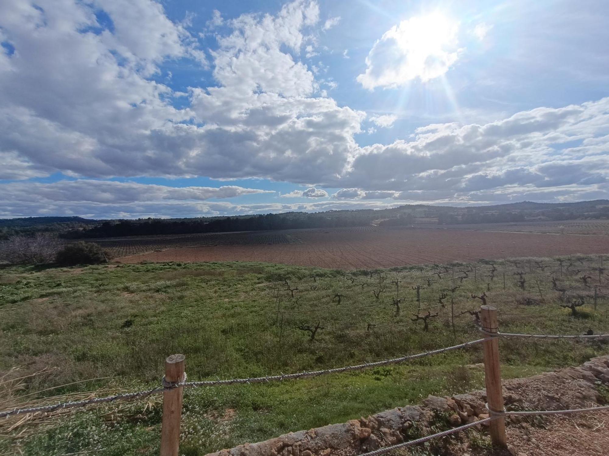 Caudete de las Fuentes Casa Rural Alegria מראה חיצוני תמונה